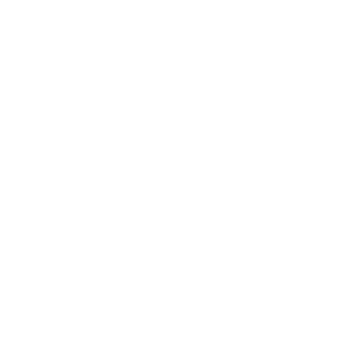 Beary Pop Up